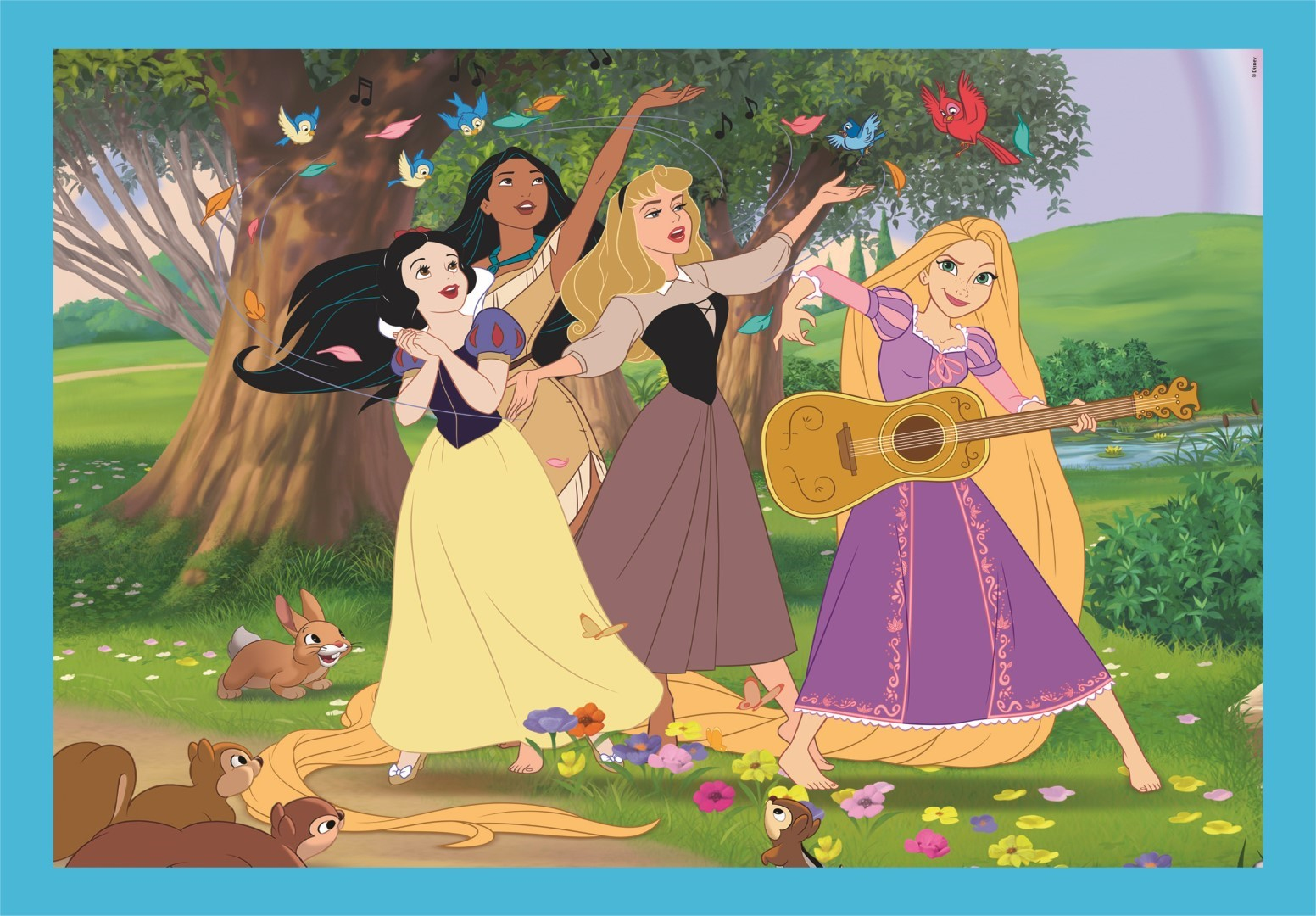 Pięć księżniczek Disneya w leśnej scenerii z ptakami. Jedna gra na gitarze. Druga śpiewa. Kolorowe tło.