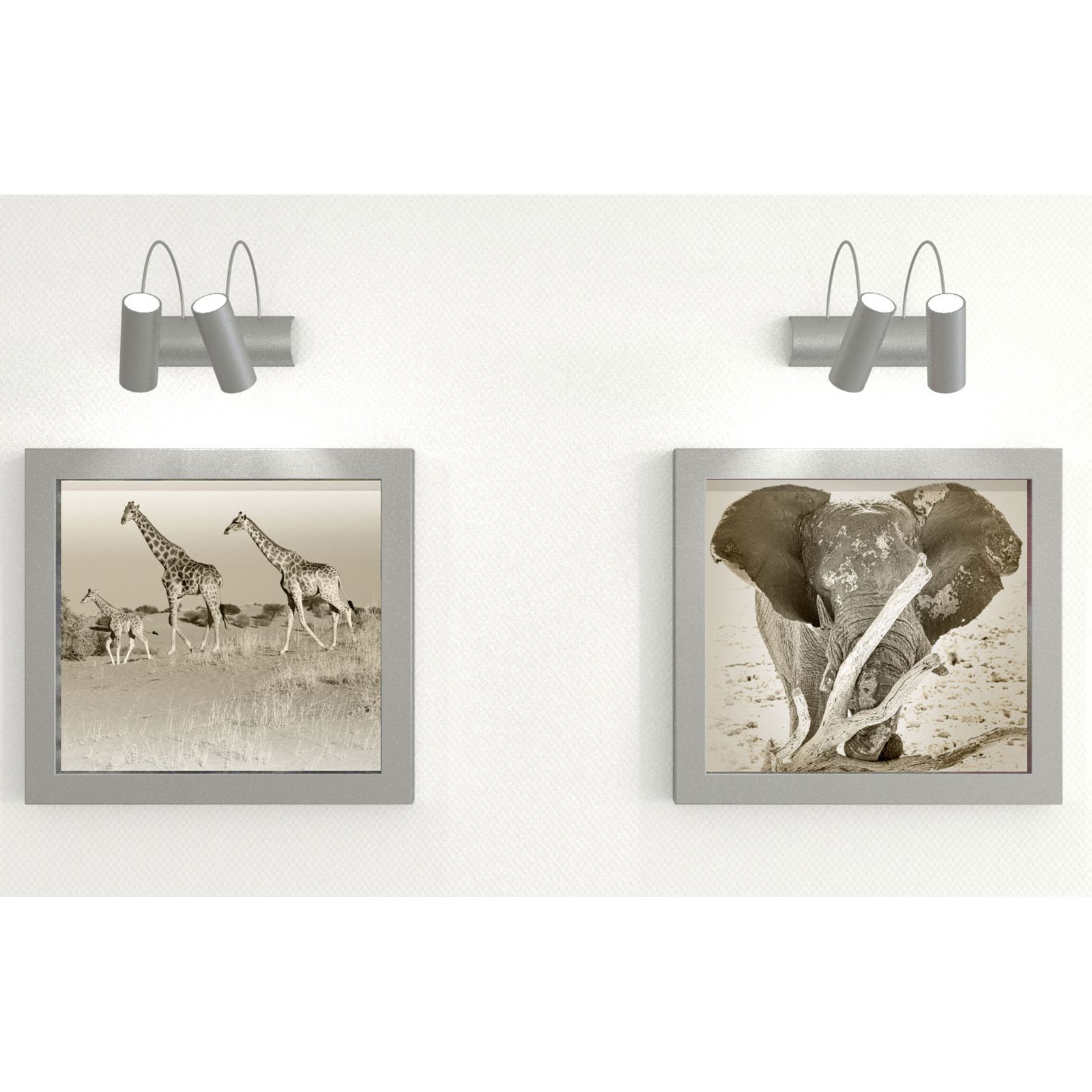 Due foto incorniciate in tonalità seppia sono appese a un muro bianco. Sono raffigurate giraffe e un elefante.