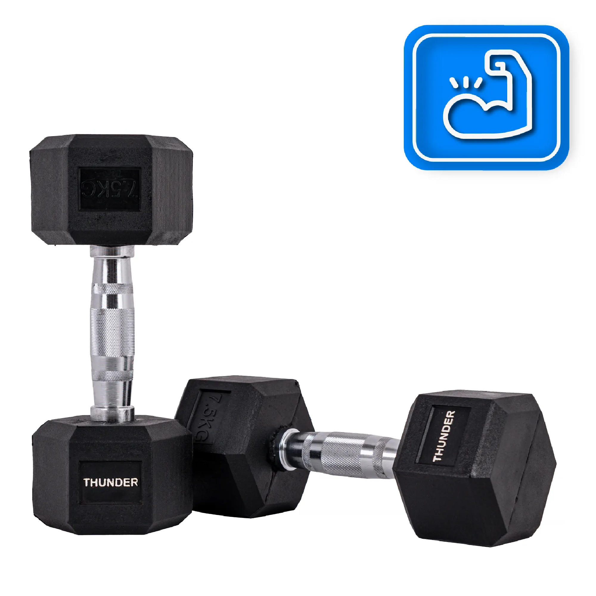 Dwie czarne hantle ze srebrnymi uchwytami, białe tło. Ikona zgięcia ramienia w niebieskim kwadracie. Jest napisane Thunder.