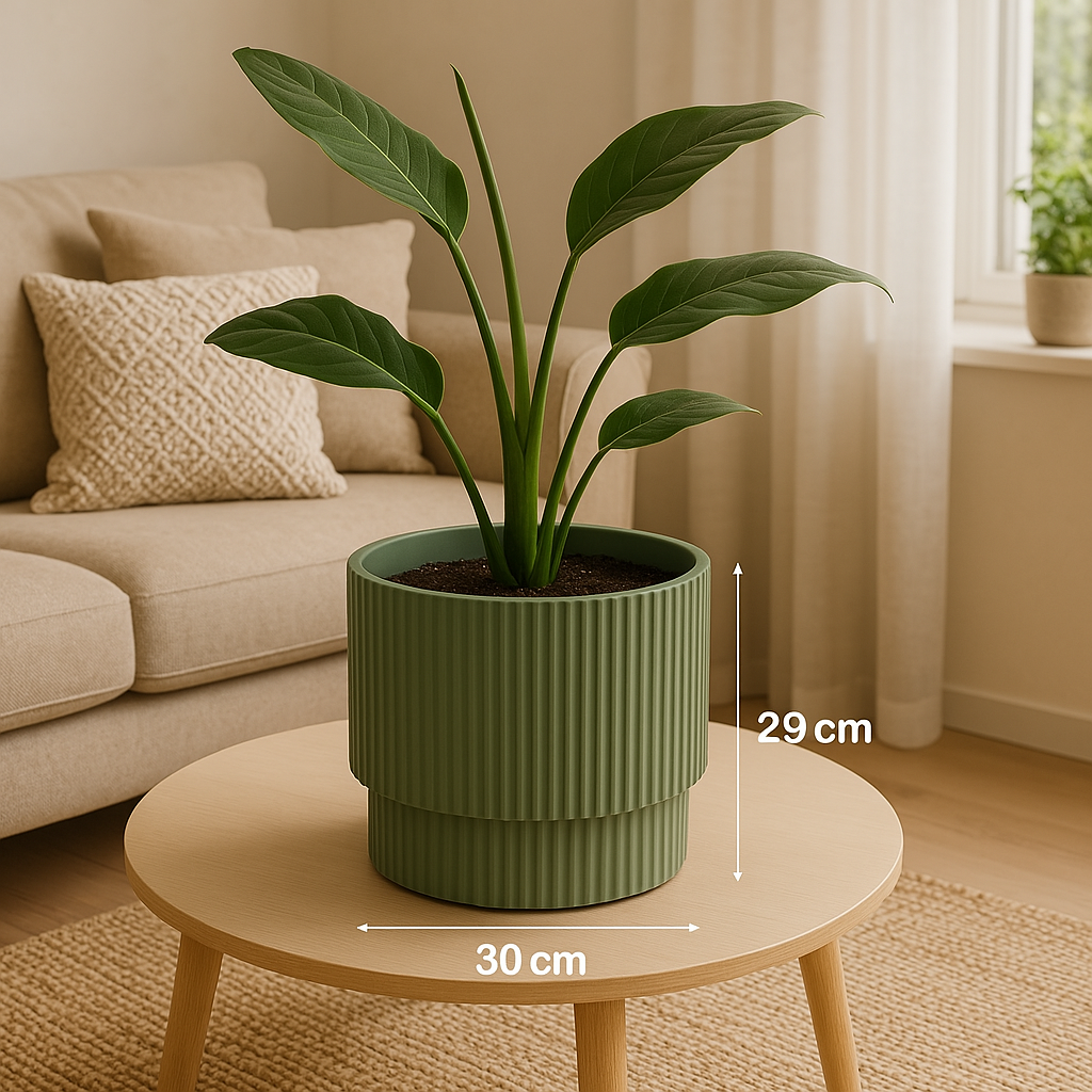 Een groene plant in een pot op een ronde houten tafel, met een bank op de achtergrond.