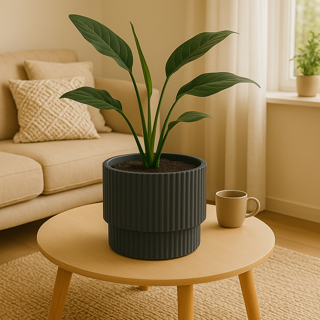 Groene plant in een donkergrijze pot op een houten tafel. Een mok staat ernaast. Een bank en gordijnen staan op de achtergrond.
