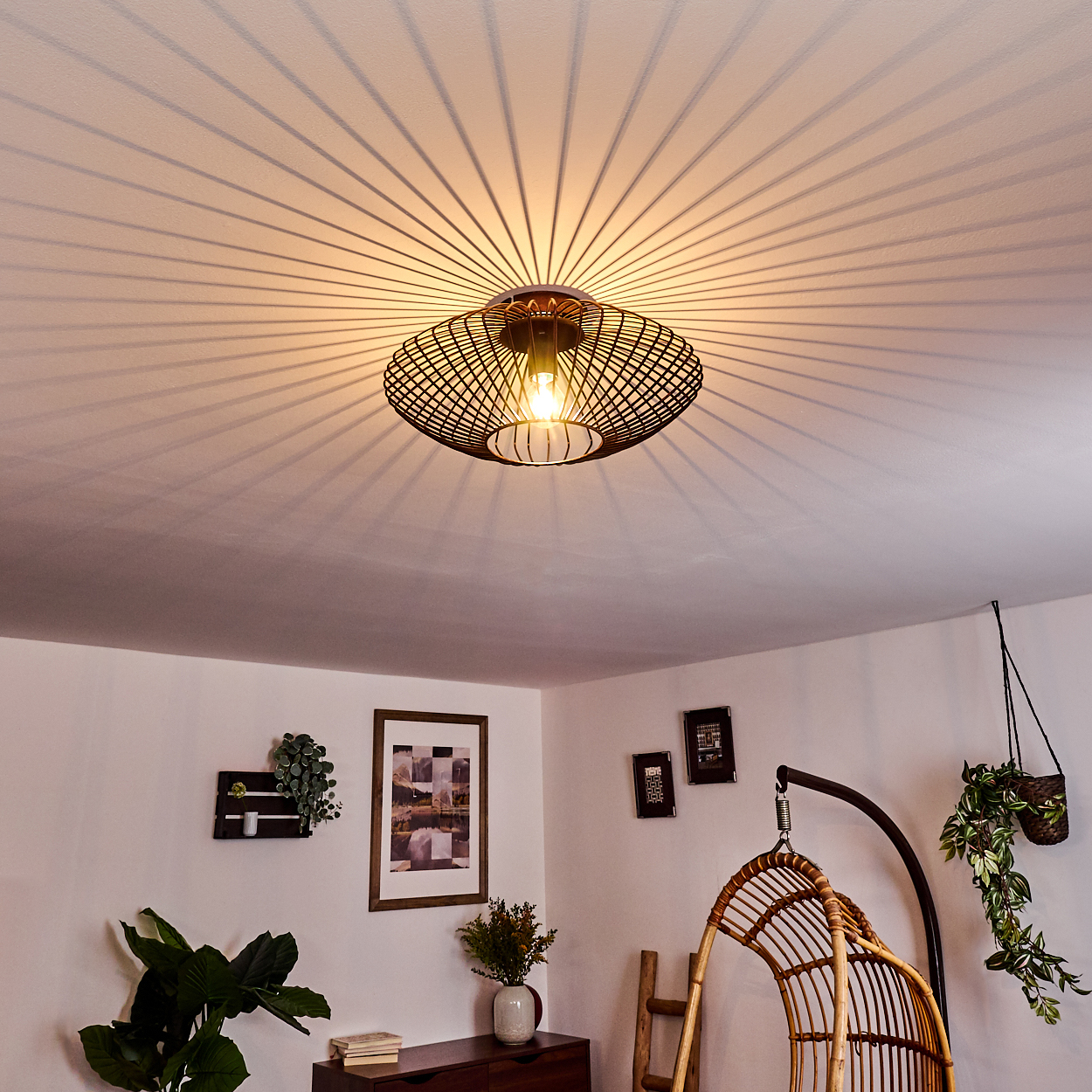 Eine Deckenlampe, ovale Form mit Glühbirne, wirft einen radialen Schatten auf die weiße Decke. Pflanzen und Deko im Raum.
