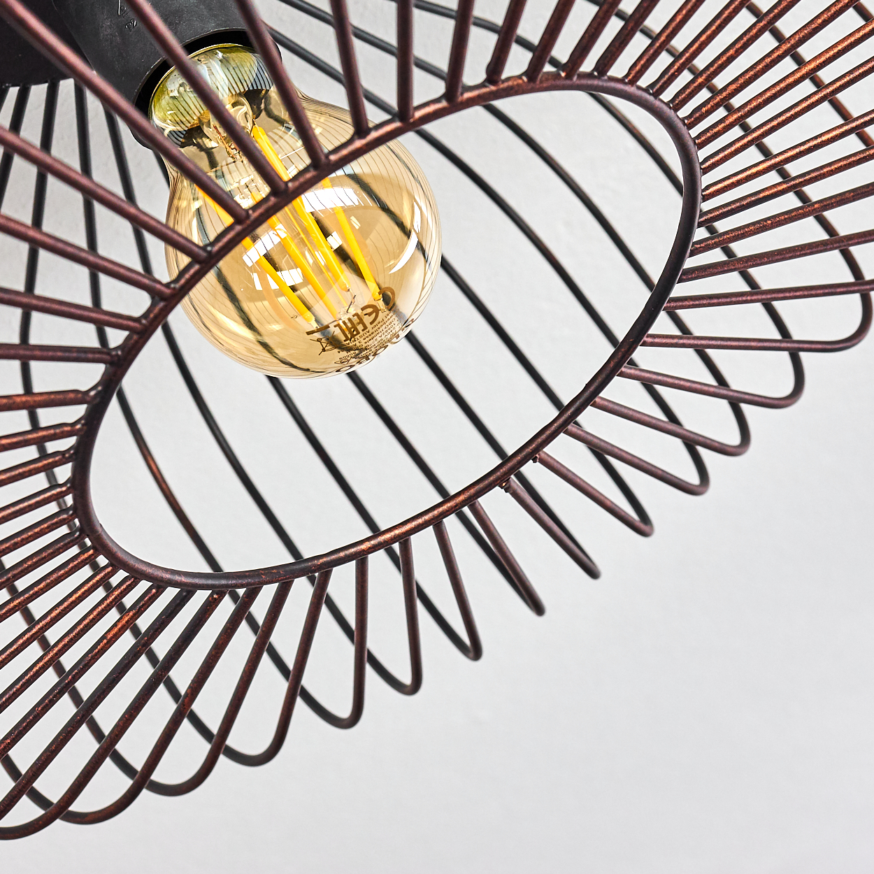 Eine Draufsicht einer Deckenlampe mit sichtbarer Glühbirne. Die Lampe hat ein Käfigdesign.