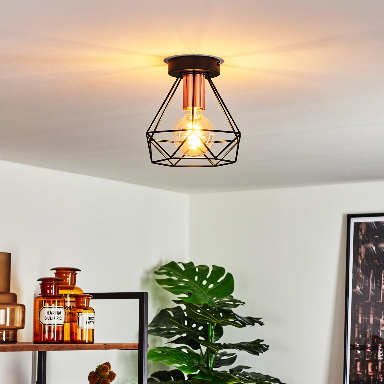 Ein Raum mit einer schwarzen Metallkäfiglampe, die von der Decke hängt, mit Pflanzen im Vordergrund.