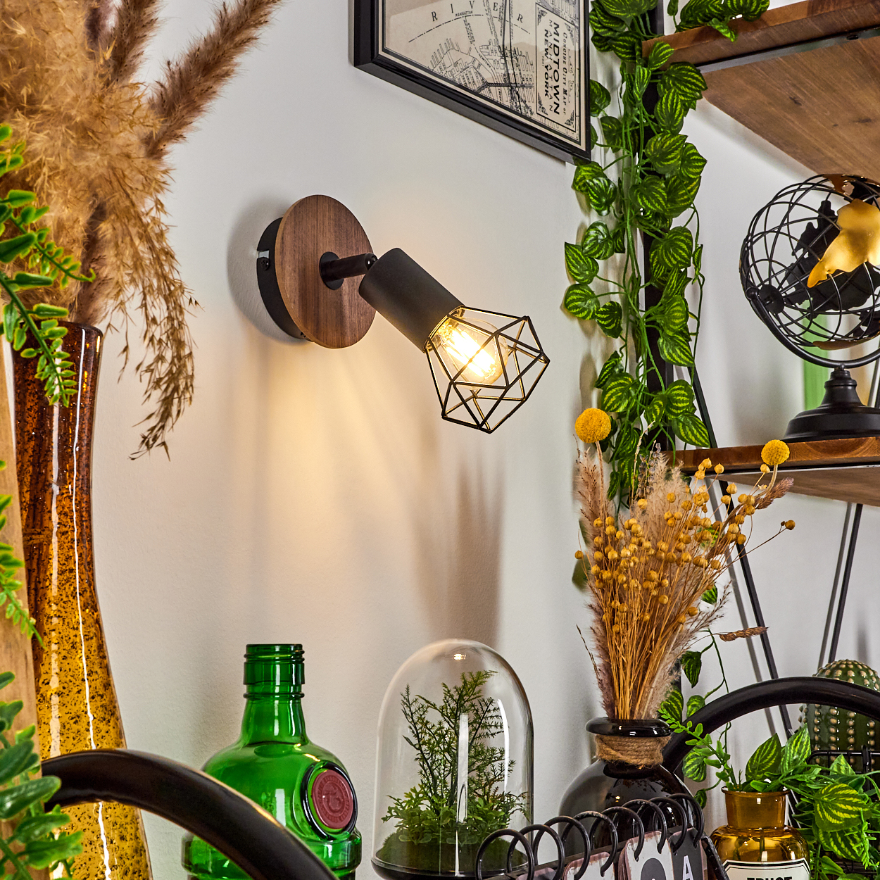 Eine Wand mit Spot-Lampe, Deko-Artikeln auf Regalen und einer grünen Pflanze.