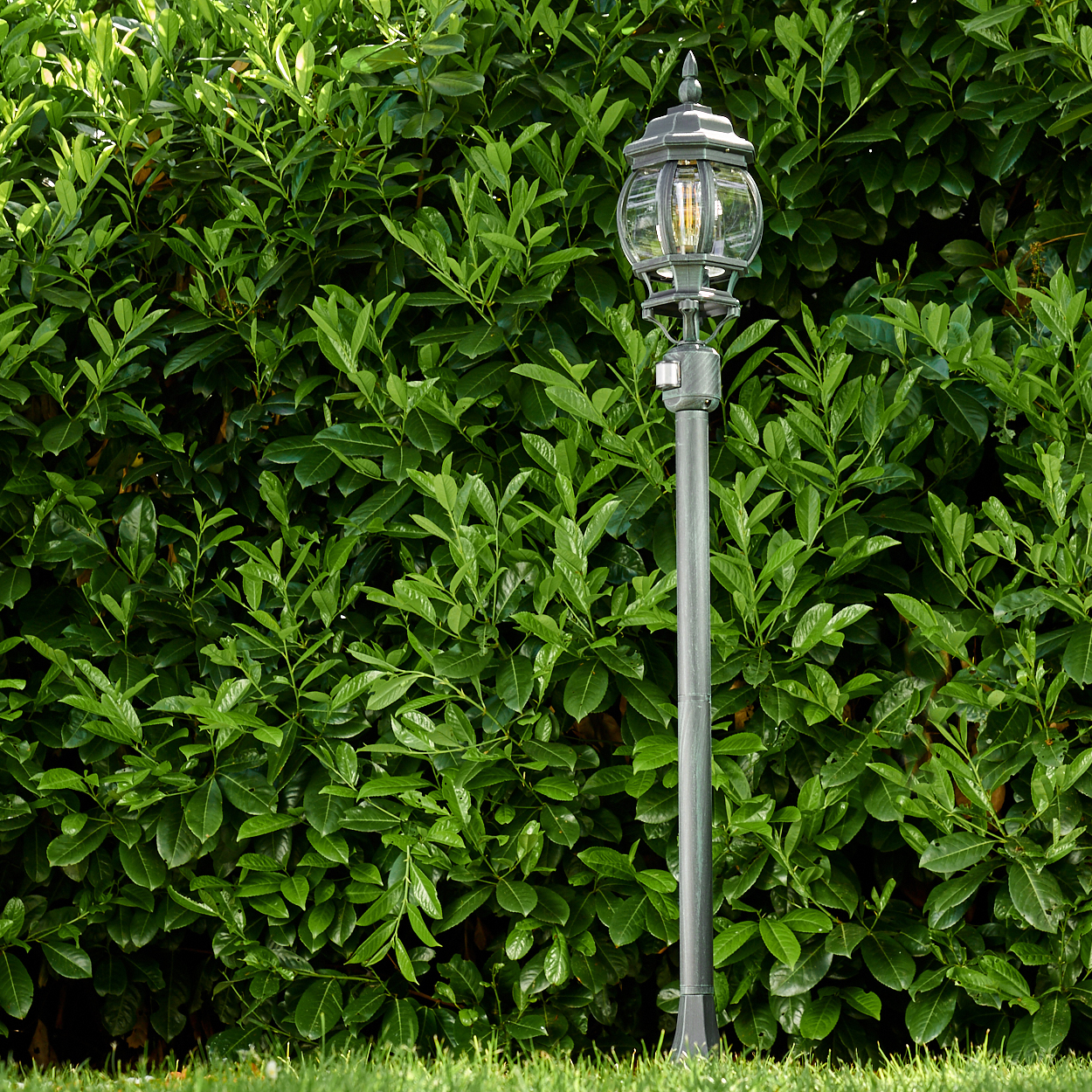 Eine Außenlaterne mit grünem Hintergrund aus Büschen und Gras.