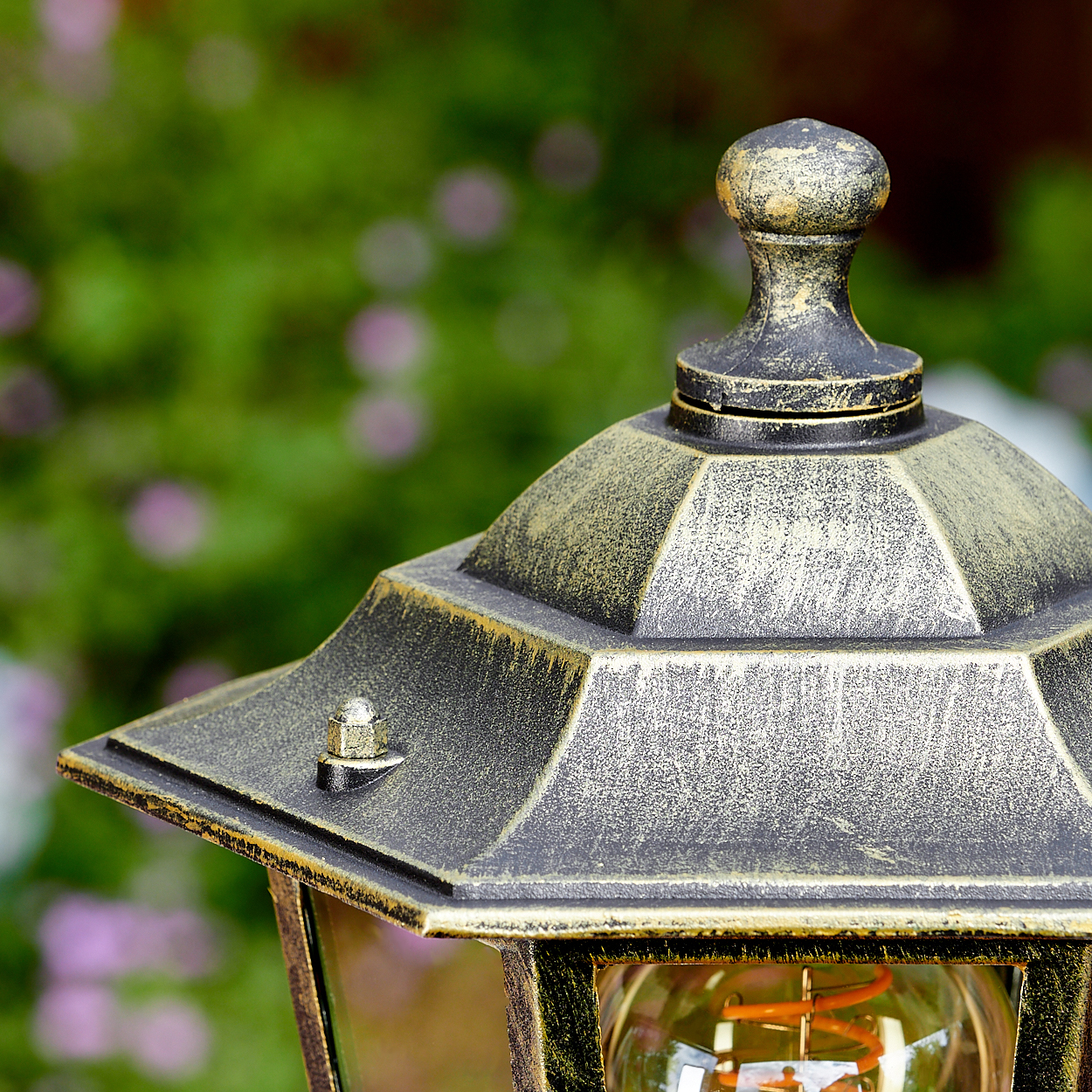Nahaufnahme des goldenen Oberteils einer Lampe, mit einer sichtbaren Glühbirne im Inneren, in einem grünen Garten.