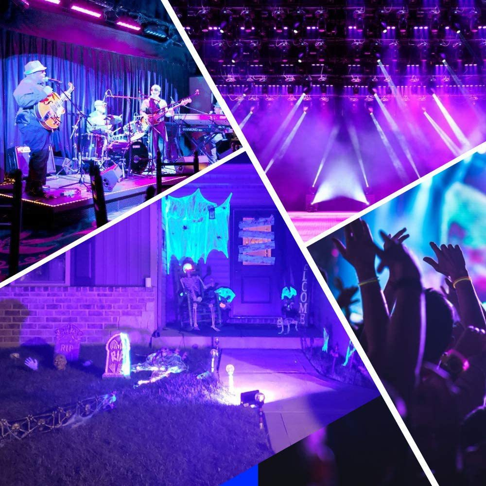 Eine Collage von vier Bildern. Die Bilder zeigen eine Band auf der Bühne, ein Konzert, ein Halloween-Haus und eine Menge.