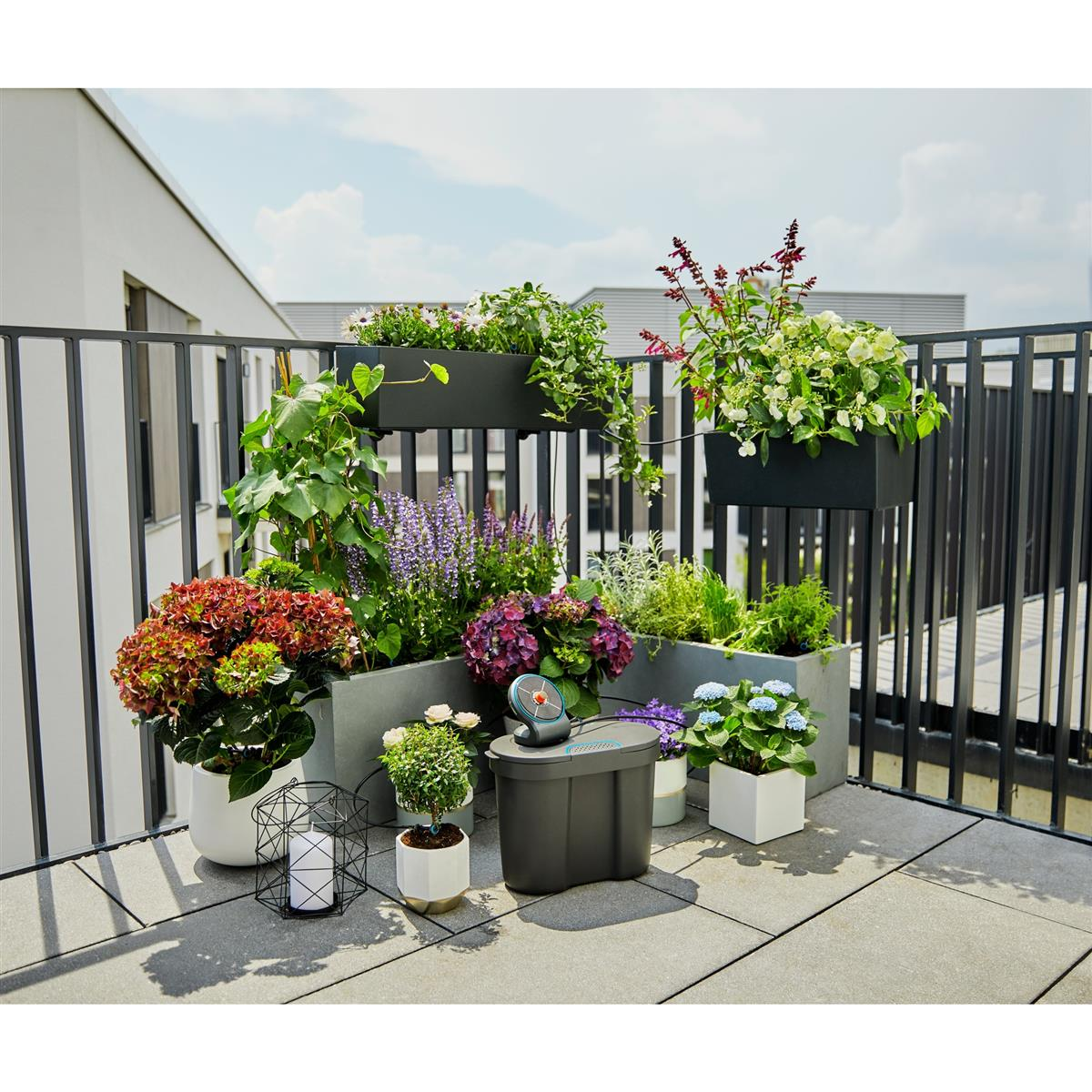 Na balkonie na tle miasta ustawiono różnorodne rośliny doniczkowe.