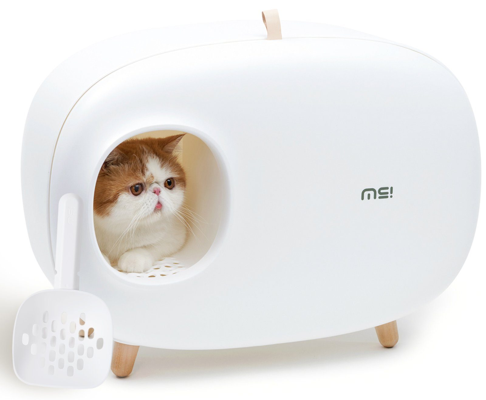 Eine weiße Katze in einer weißen, ovalen Katzentoilette mit Schaufel. Die Katze schaut heraus.