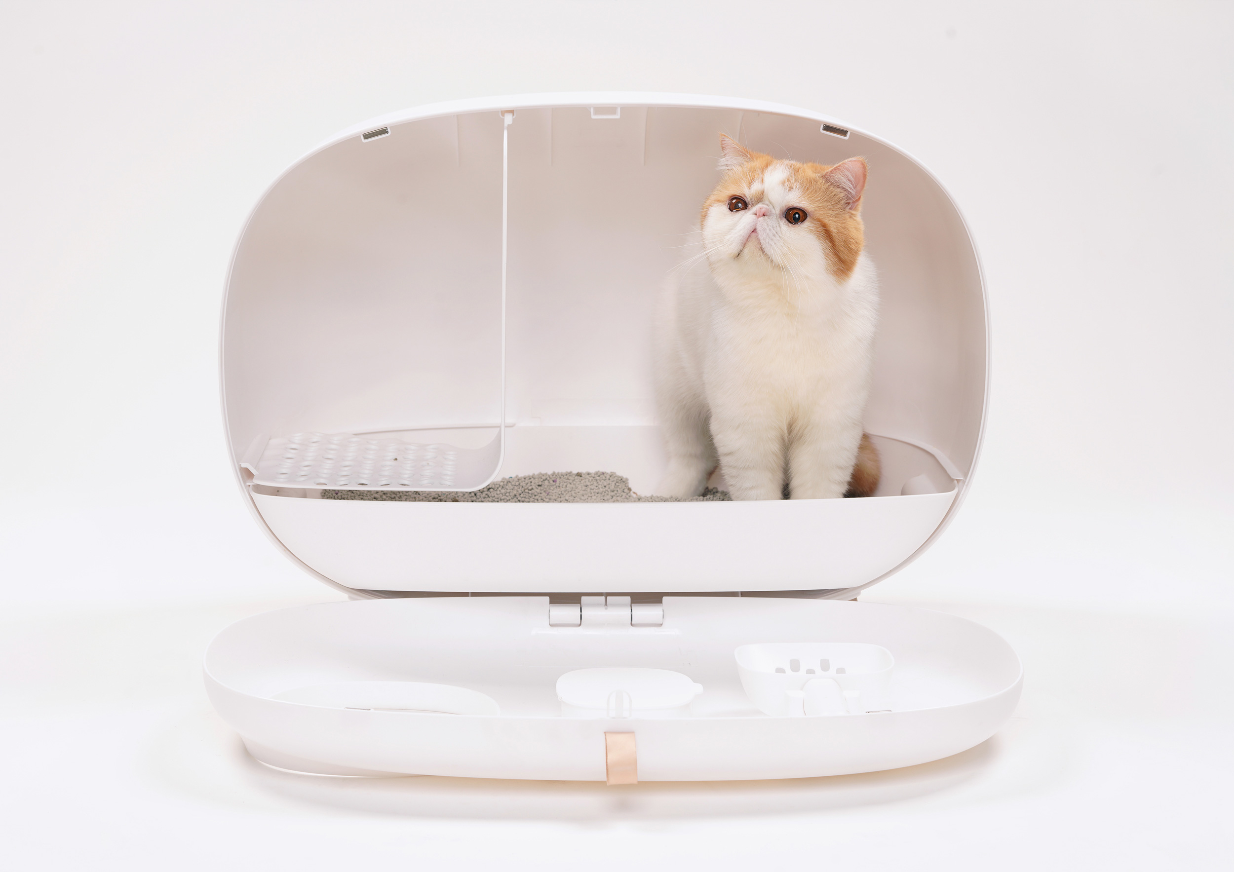 Eine weiß-orange Katze in einer weißen, ovalen Katzentoilette. Die Katzentoilette ist offen.