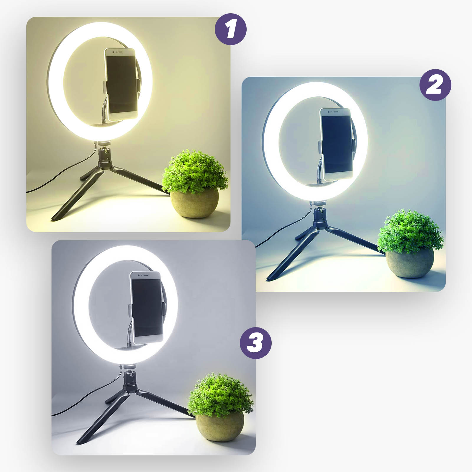 Trois images d'une configuration d'éclairage annulaire et de téléphone. Chacune montre différents réglages d'éclairage et une petite plante.