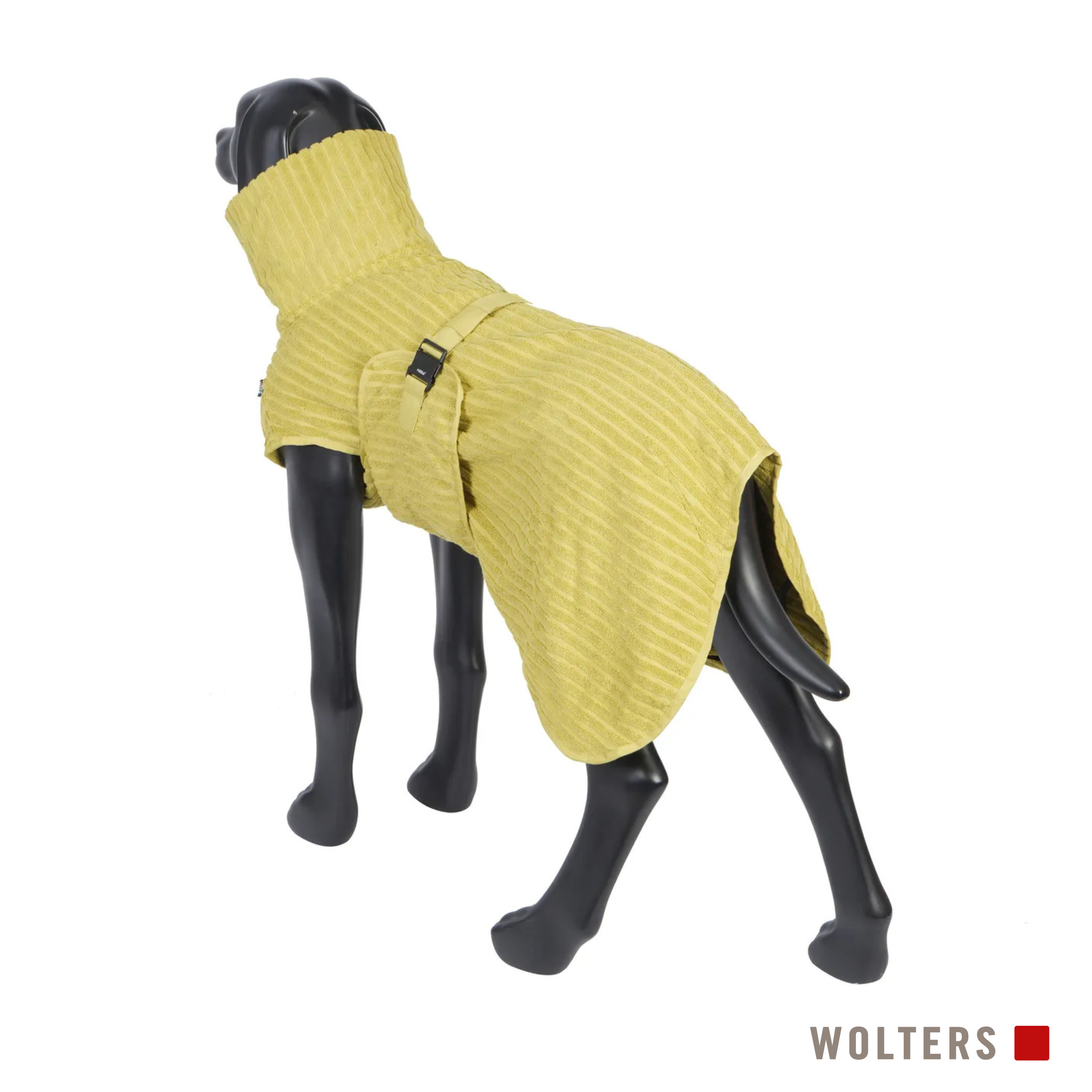 Hund in gelbem Hundemantel mit hohem Kragen, Schnallenverschluss, vor weißem Hintergrund.