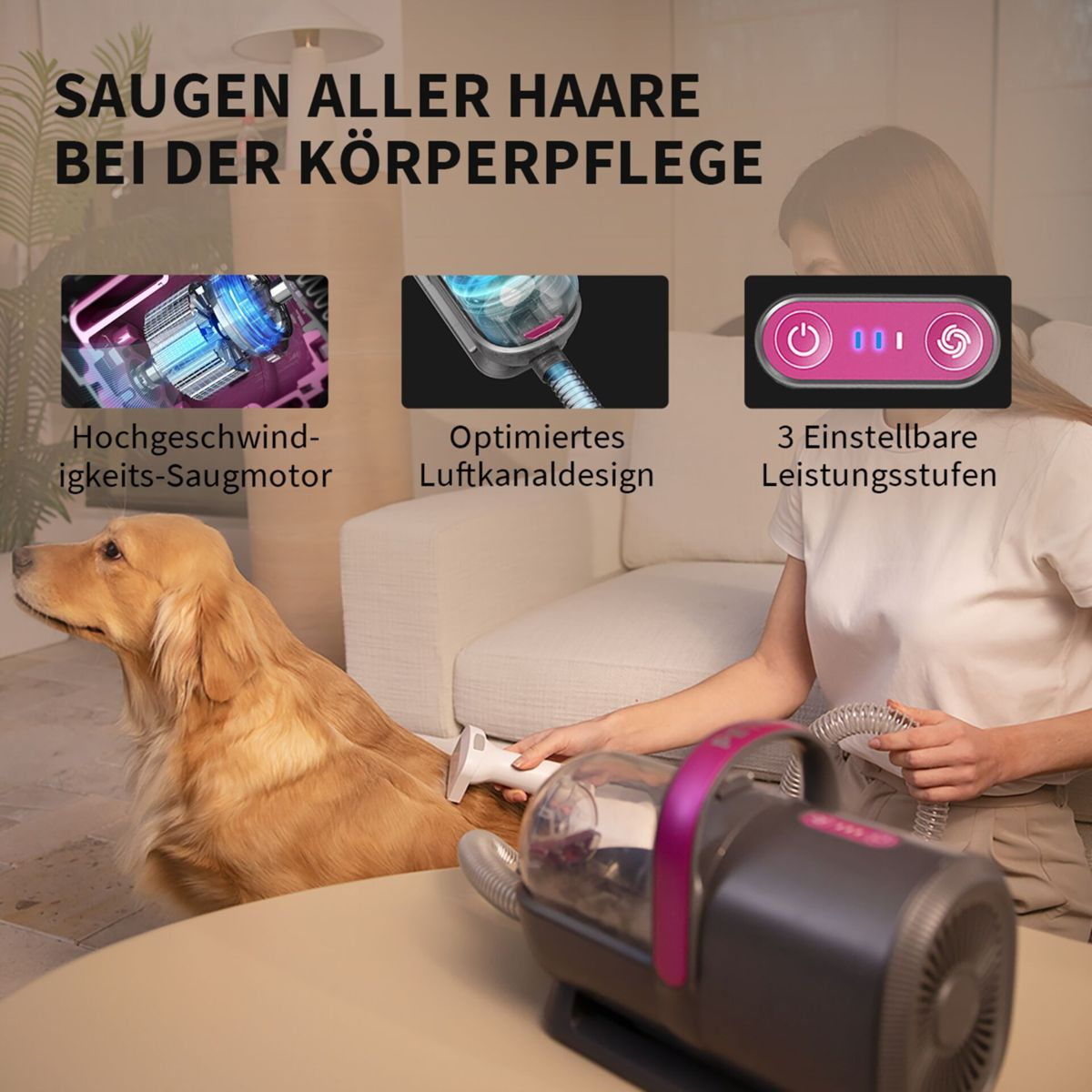 Frau, die einen Golden Retriever mit einem Haustier-Pflegevakuum pflegt. Nahaufnahmen des Werkzeugs.