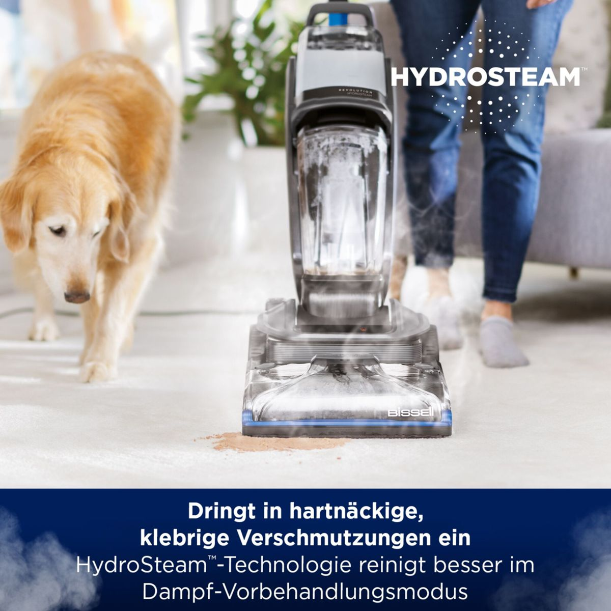 Ein Hund und ein Staubsauger auf Teppich. Dampf kommt aus dem Staubsauger.