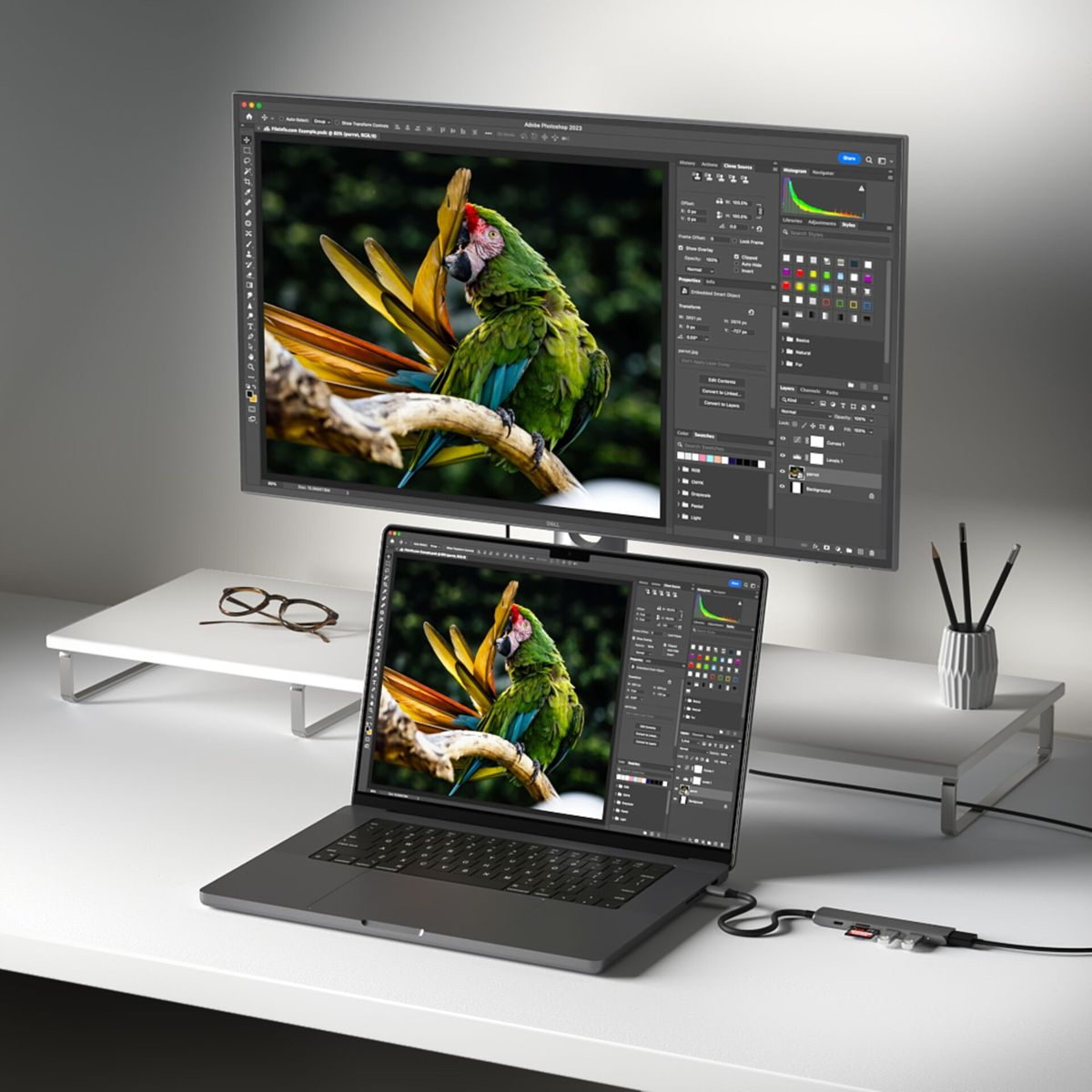 Laptop mit Monitor, der eine Foto-Bearbeitungssoftware-Oberfläche anzeigt. Ein Papageienbild wird gezeigt. Brille und Stifthalter auf dem Schreibtisch.
