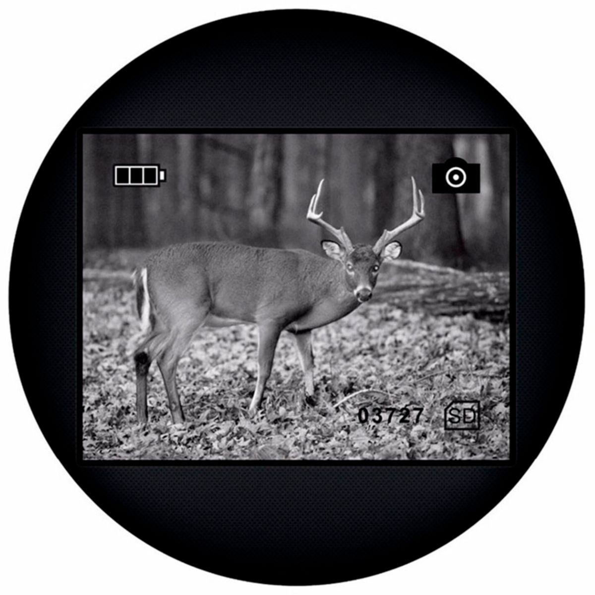 Hirsch in einem Schwarz-Weiß-Bild. Es befindet sich in einem Kreis mit Symbolen wie Batterie und Kamera.