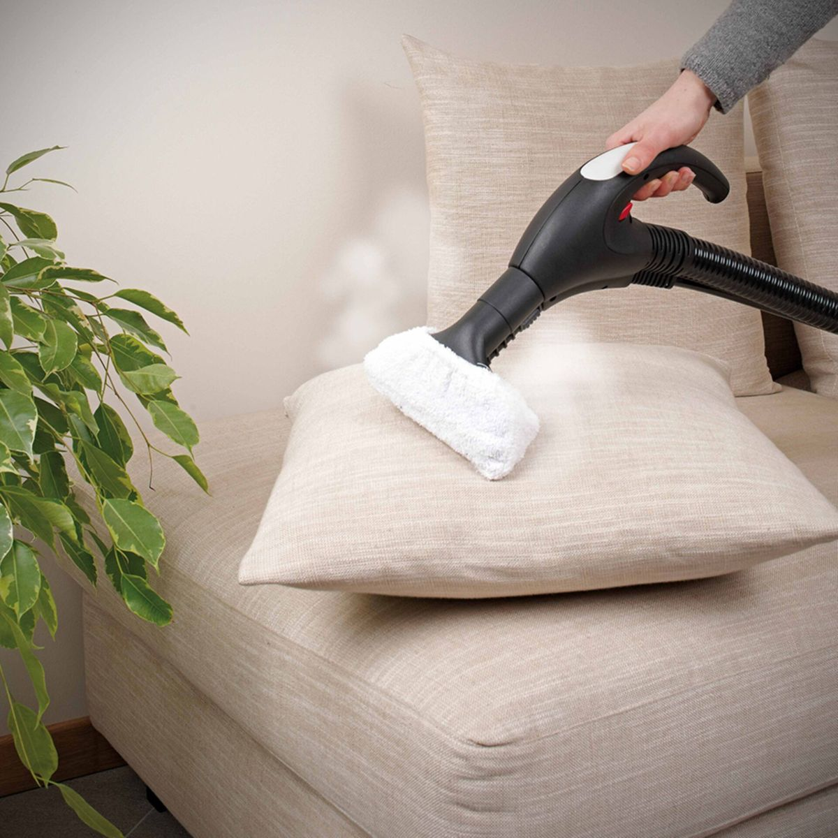 Ręka czyści beżową poduszkę na kanapie za pomocą parownicy. Po lewej stronie obrazu znajduje się roślina.