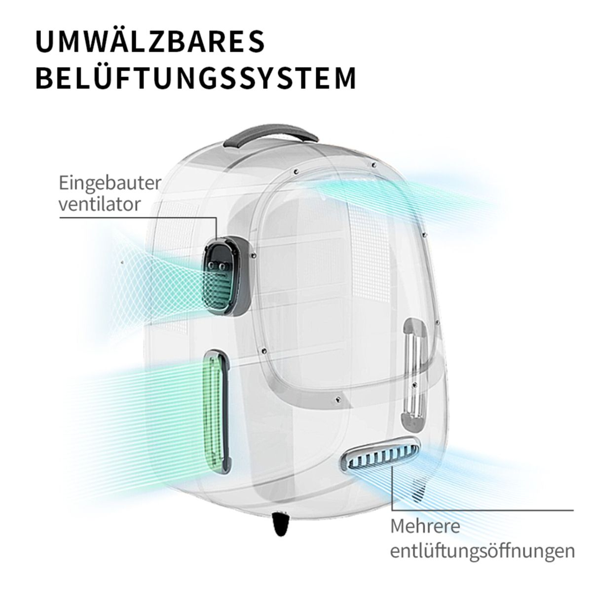 Przezroczysty transporter dla zwierząt ze szczelinami wentylacyjnymi, z niemieckim tekstem. Przepływ niebieskiego powietrza.