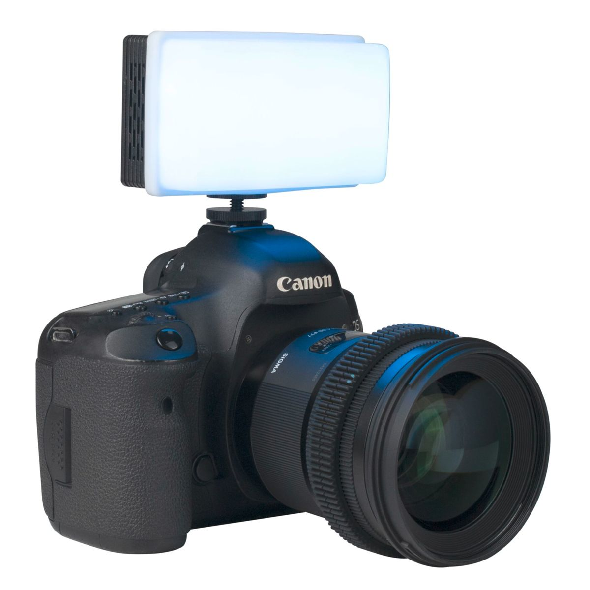 Eine Canon-Kamera mit einem angebrachten Lichtpanel. Das Licht ist rechteckig und weiß. Schwarzes Objektiv.