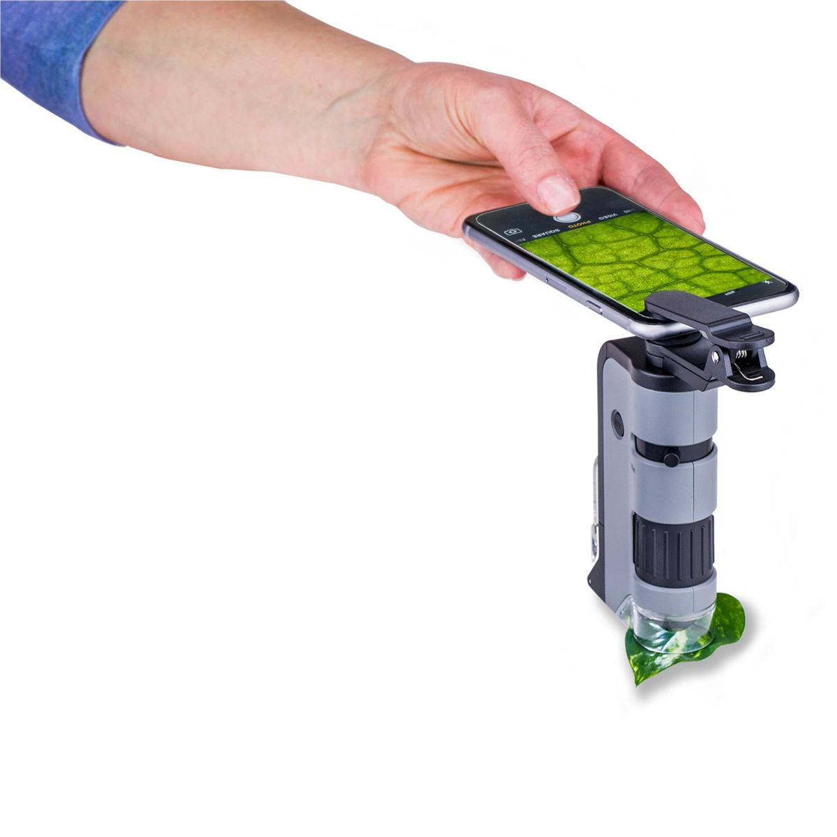 Een hand houdt een smartphone vast en een blad wordt onder een grijze microscoop geplaatst.