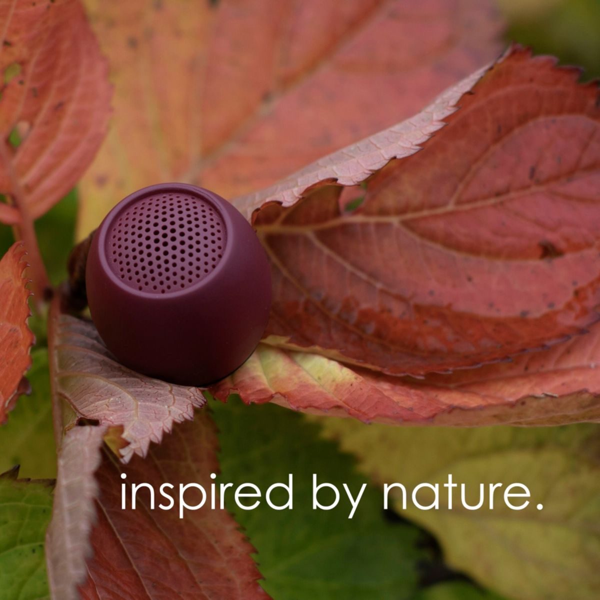 Głośnik z bordowym wykończeniem na kolorowych jesiennych liściach z napisem: inspirowane naturą.