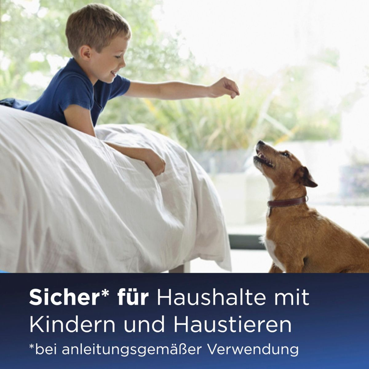Ein Junge und ein Hund spielen in der Nähe eines Bettes.