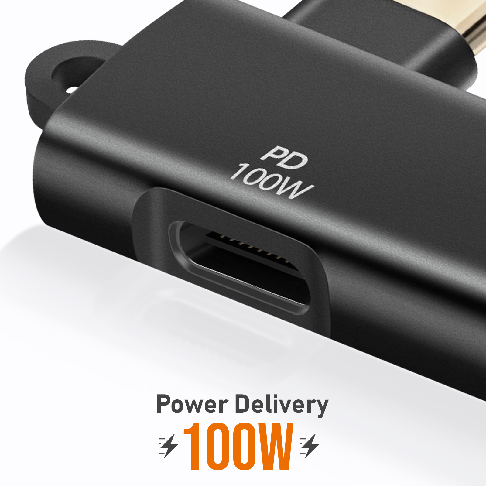 Adattatore USB-C nero con etichetta PD 100W. Sfondo bianco. Testo 'Power Delivery 100W'.