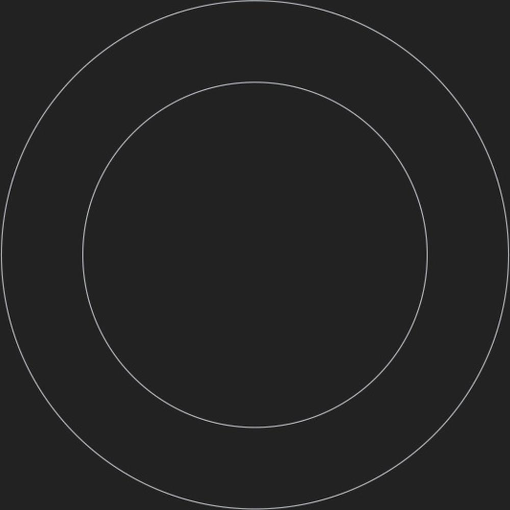 Dos círculos concéntricos sobre un fondo negro. El círculo exterior es ligeramente más grande.