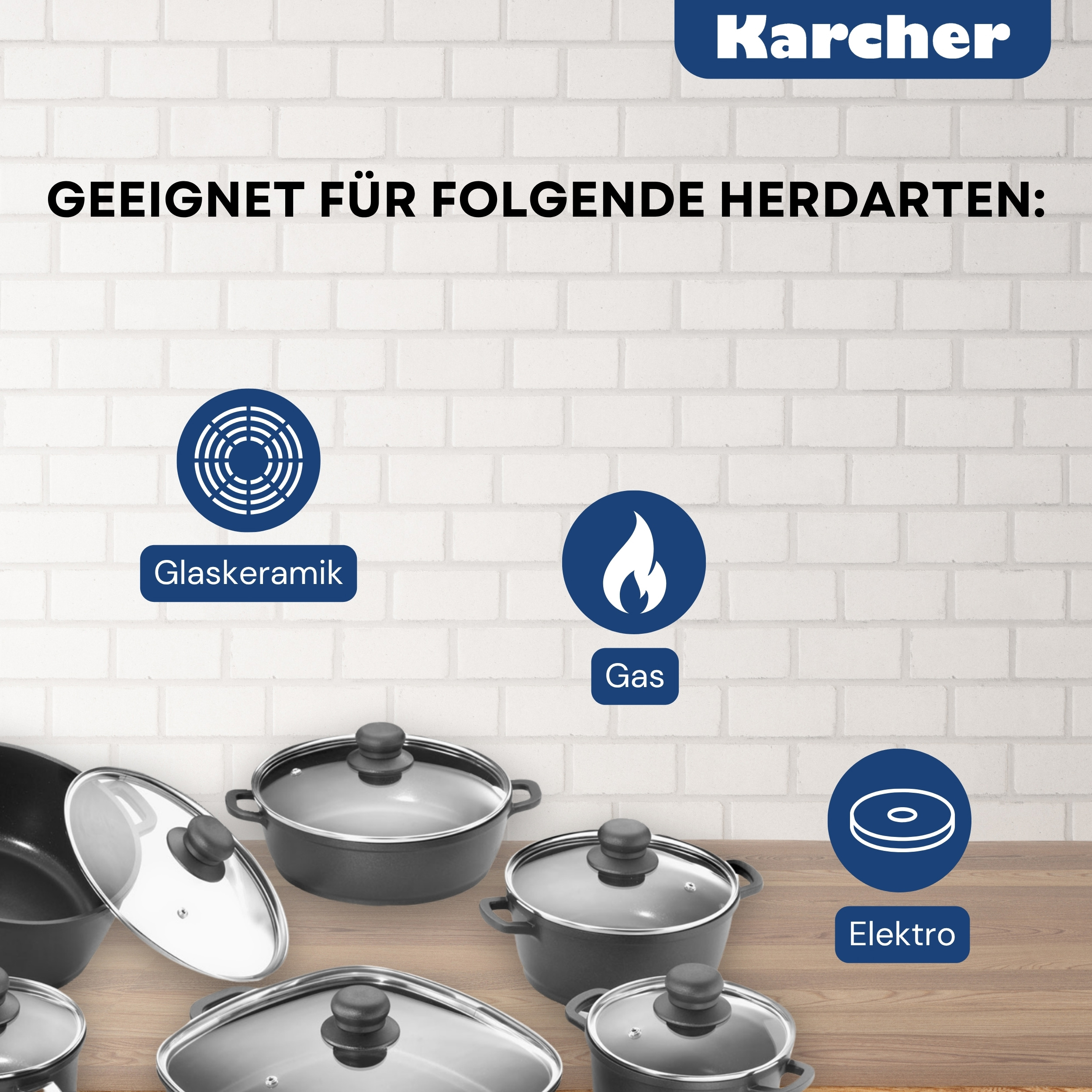 Verschiedene Töpfe und Pfannen auf einer Holzoberfläche mit Symbolen, die die Kompatibilität mit verschiedenen Kochfeldtypen anzeigen.