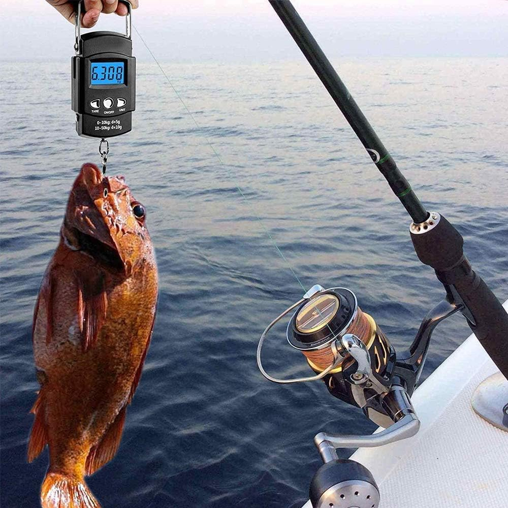 Eine Person hält einen Fisch, der an einer Waage hängt, in der Nähe einer Angelrute und Wasser.