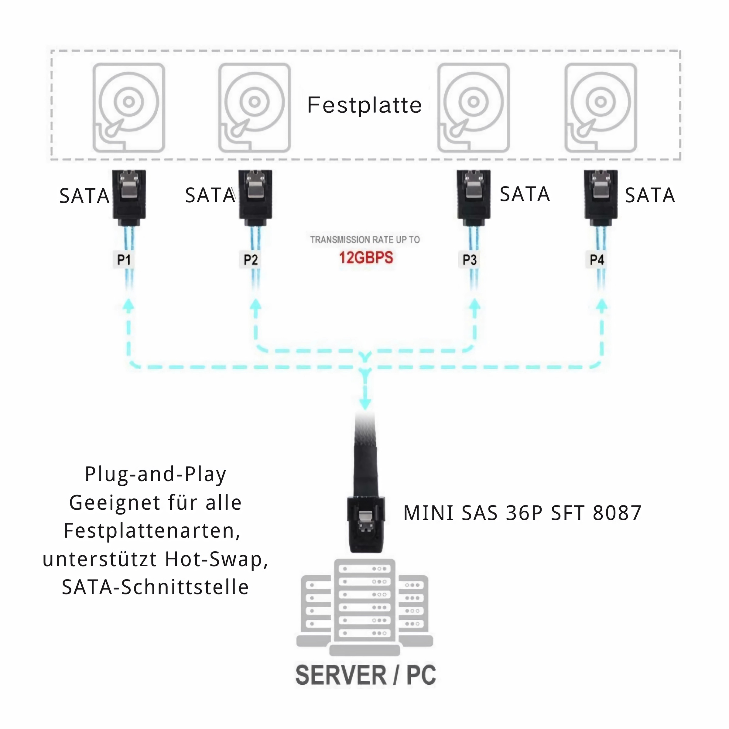 Diagramm eines Server-Setups mit Kabeln und Festplatten, beschriftet mit Text und Pfeilen.