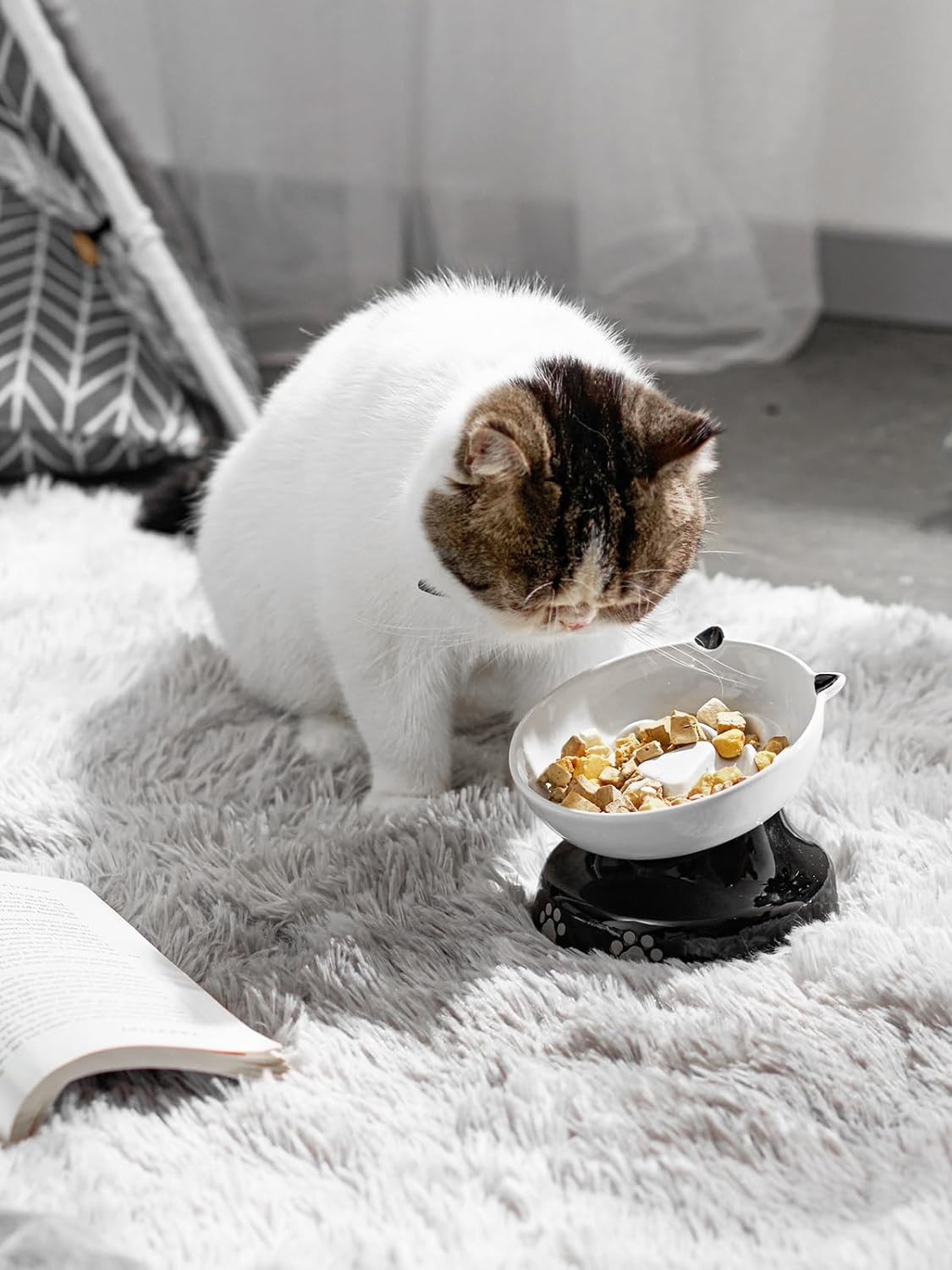 Eine Katze frisst aus einer weiß-schwarzen Schüssel auf einem grauen Teppich. Links befinden sich ein Buch und ein Zelt.