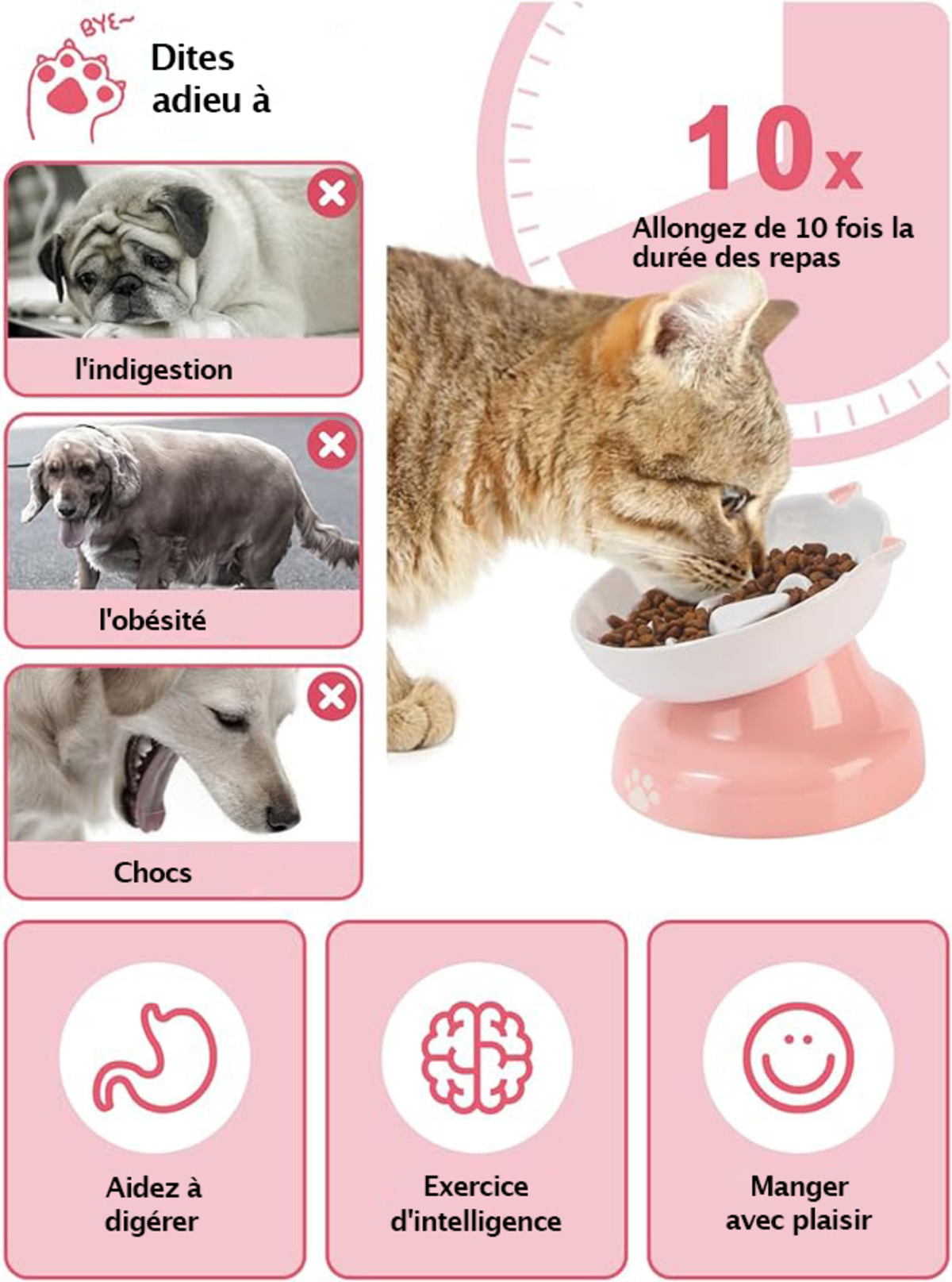 Un gatto che mangia da una ciotola per gatti inclinata rosa con testo e illustrazioni sui vantaggi della ciotola.