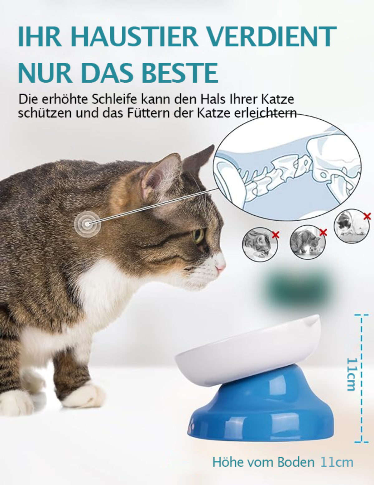 Eine Katze steht neben einer blau-weißen, geneigten Katzenschüssel. Es gibt Illustrationen über den Nutzen der Schüssel.