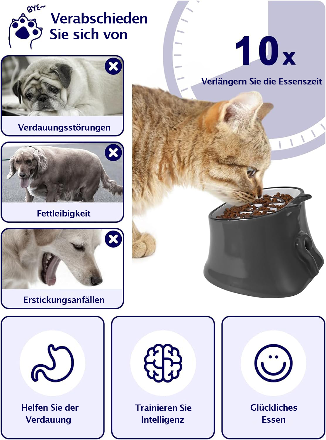 Eine Katze, die aus einer Schüssel frisst. Mehrere Bilder zeigen Haustiere mit Problemen. Die Schüssel soll das Essen verlangsamen.