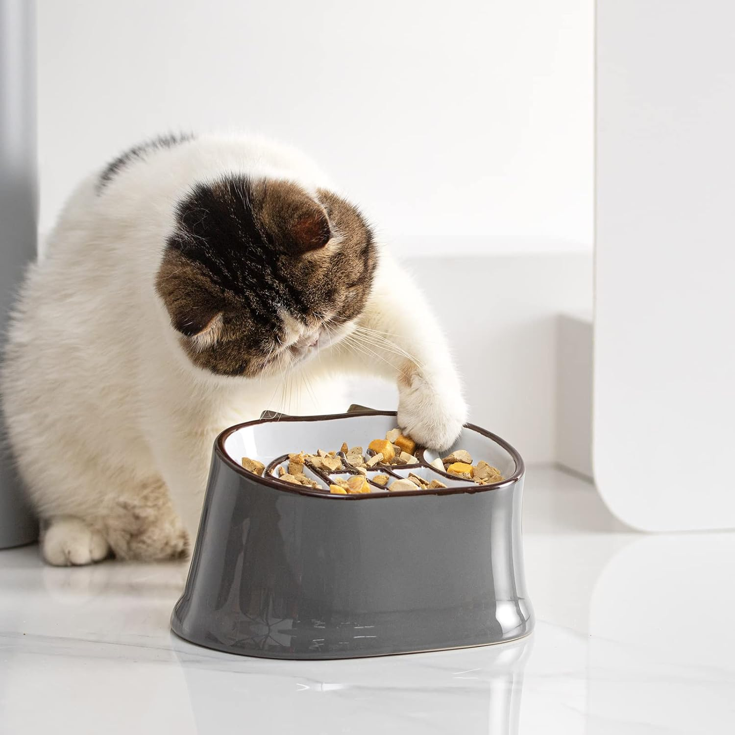 Eine Katze greift in eine graue Schüssel mit Futter und frisst. Die Schüssel steht auf einer weißen Oberfläche.
