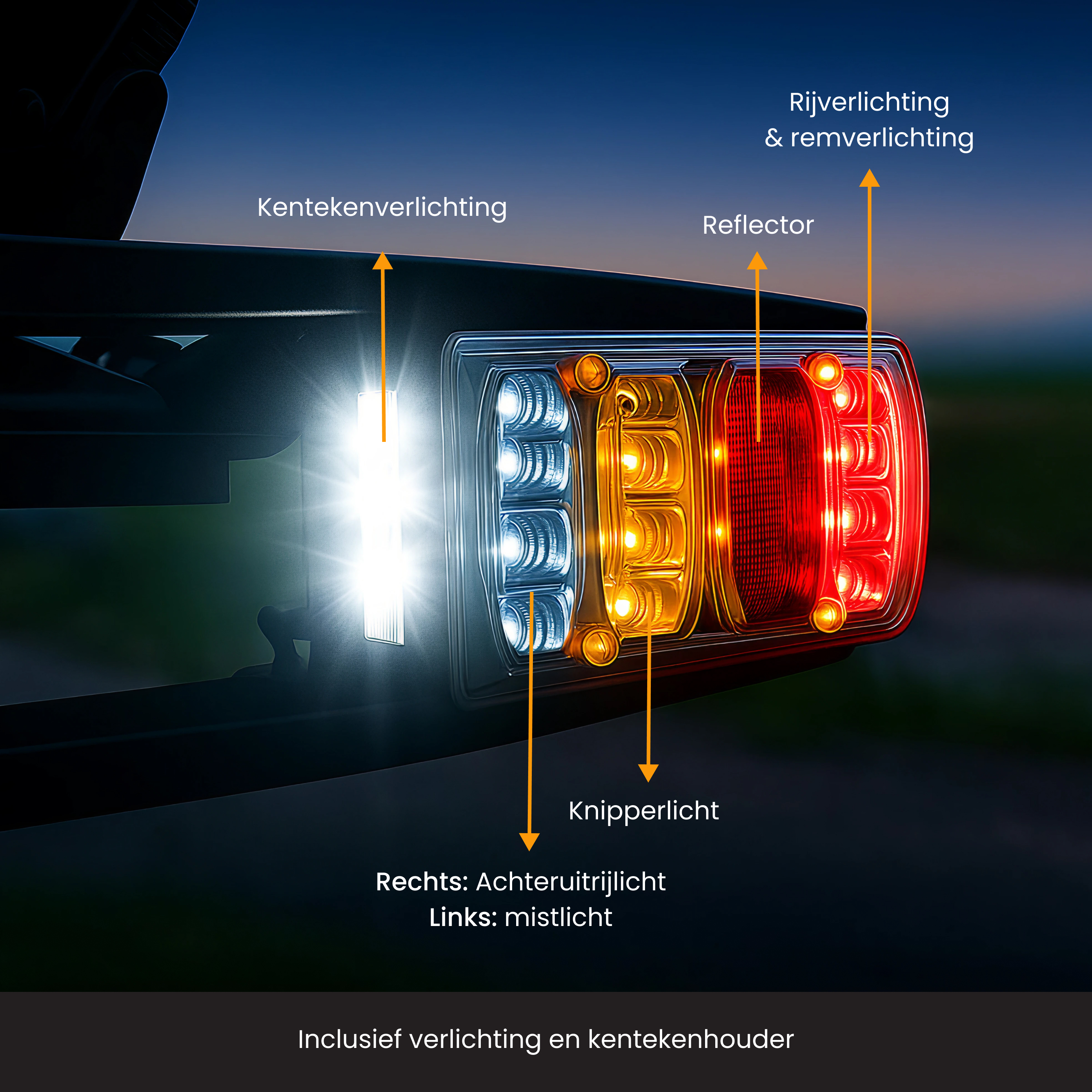 Feux arrière d'une voiture avec étiquettes pour les différents feux et leur fonction.