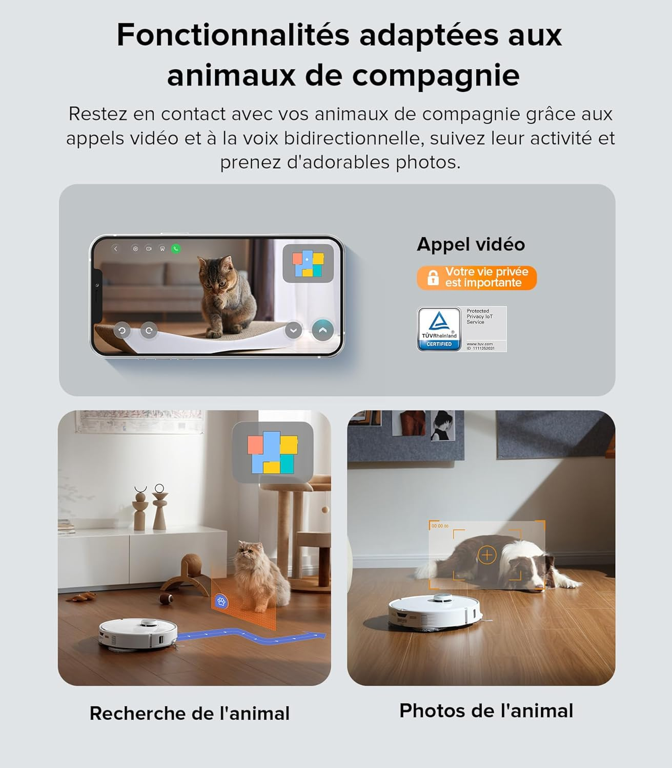 Afbeelding toont een telefoon met een kattenvideogesprek, een stofzuiger en een hond.