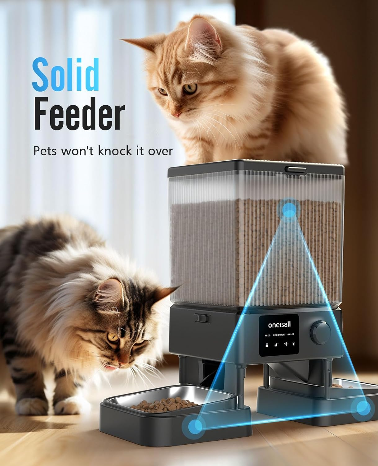 Zwei Katzen und ein schwarzer automatischer Futterautomat. Ein klarer Behälter enthält Futter und Schalen.