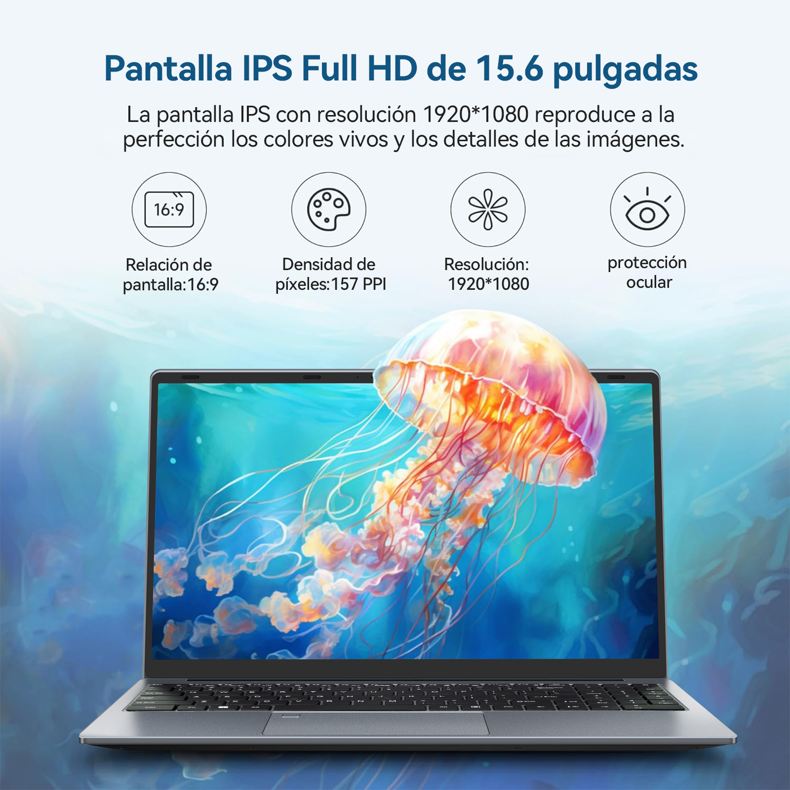 La pantalla del portátil muestra una medusa bajo el agua. La pantalla está en un portátil.