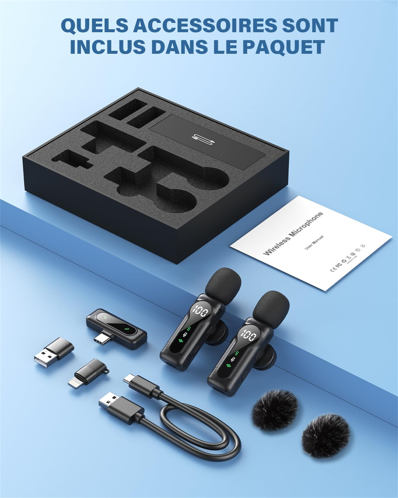 Eine Box mit Zubehör, darunter zwei Mikrofone, Kabel und Windschutz. Eine Bedienungsanleitung ist ebenfalls vorhanden.