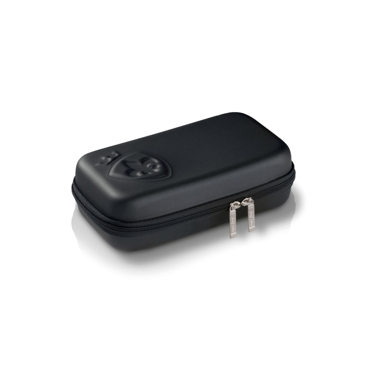 Srebrna kłódka z kluczem i logo.