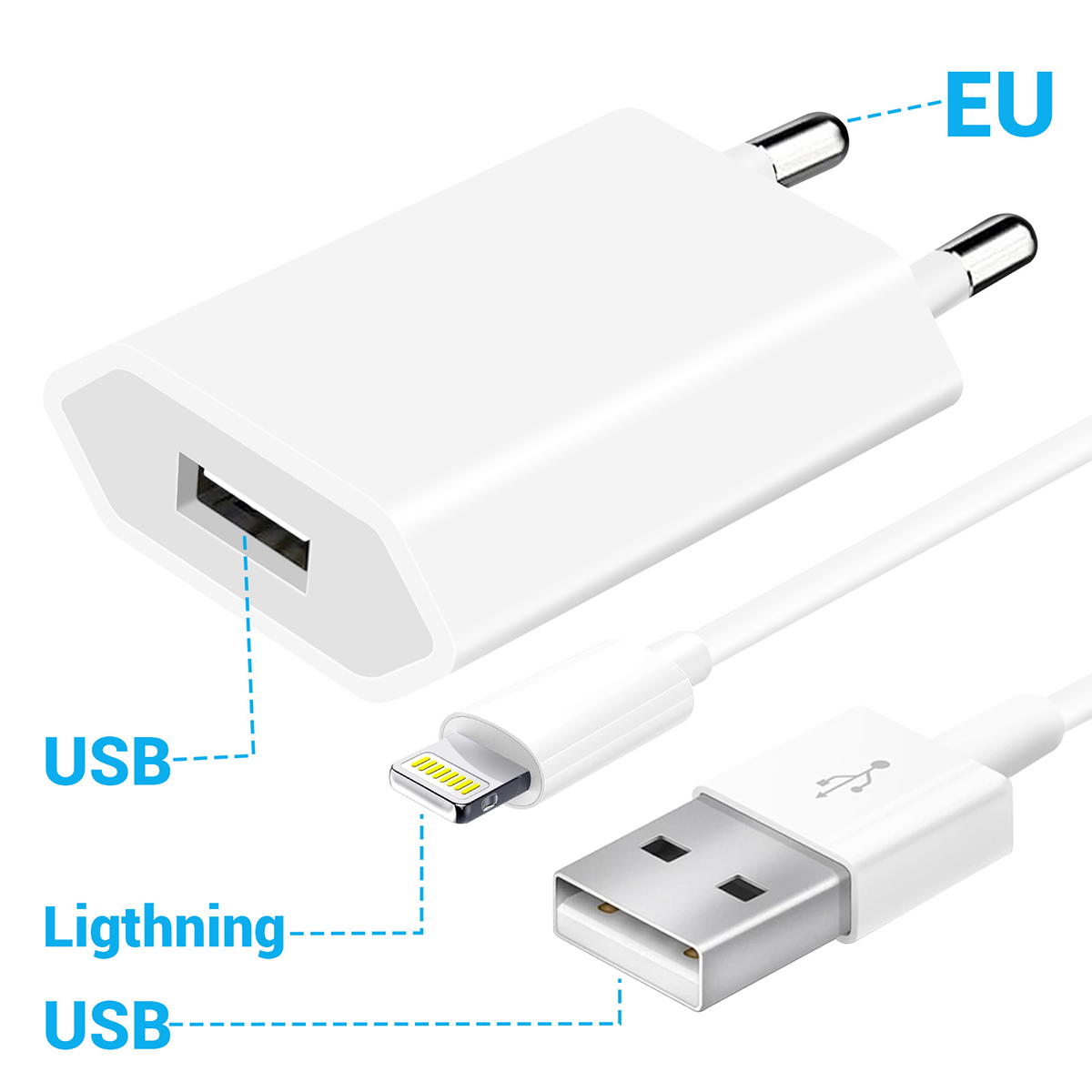 Un caricabatterie bianco con porta USB, cavo Lightning e cavo USB. Le etichette indicano i tipi di connettore.