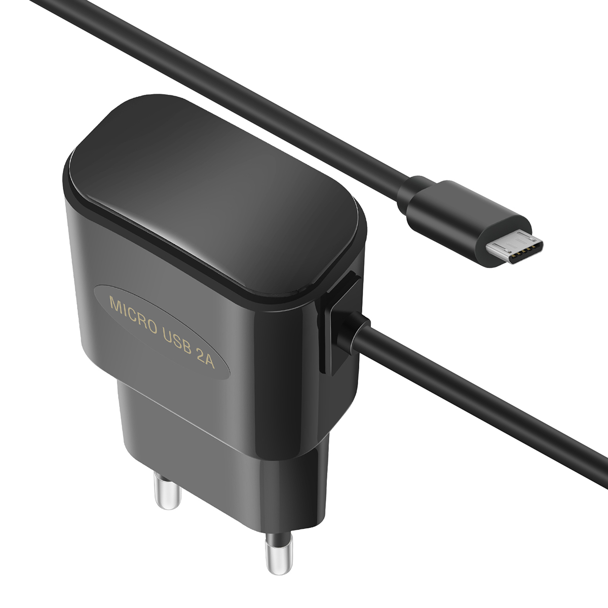 Caricabatterie nero con etichetta Micro USB 2A e cavo USB-C nero su sfondo bianco.