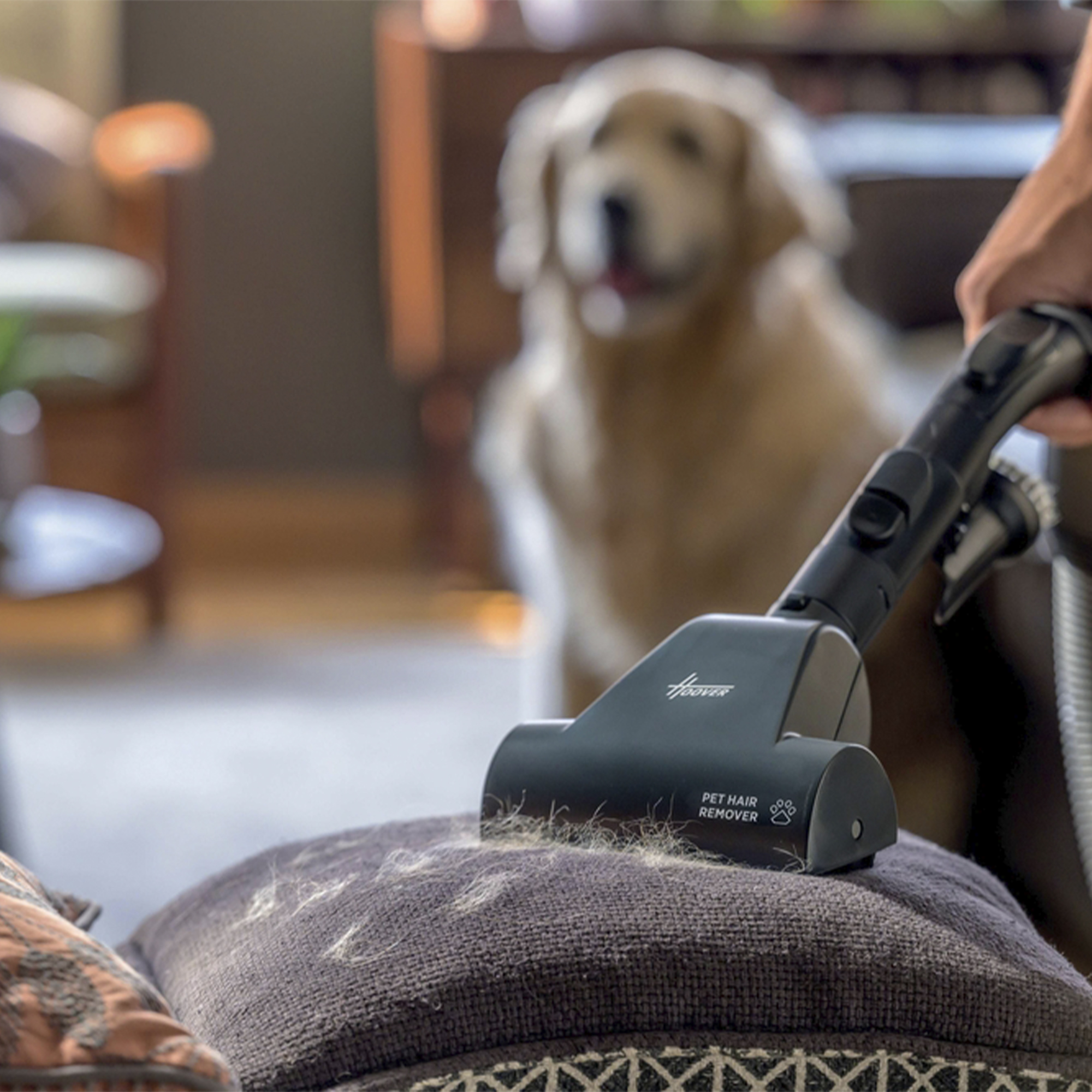 Głowica odkurzacza usuwająca sierść zwierząt z poduszki, z psem w rozmytym tle.