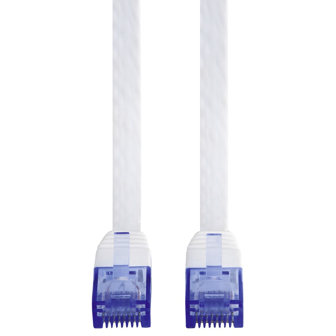 Due cavi di rete bianchi con connettori blu trasparenti. Sfondo bianco.