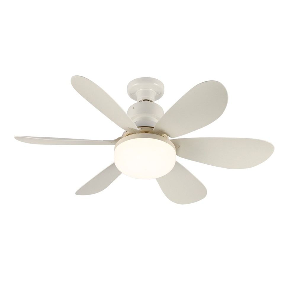 Ventilador de techo con cinco aspas blancas y una luz central, aislado sobre fondo blanco.