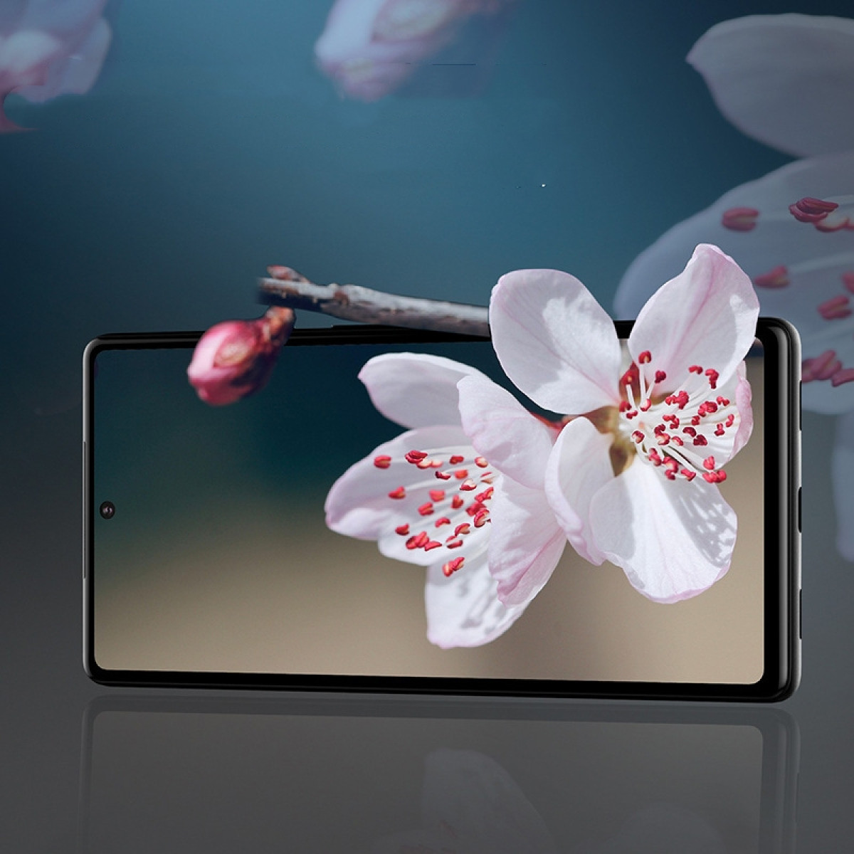 Uno smartphone mostra una scena floreale. I fiori sembrano spuntare dallo schermo.