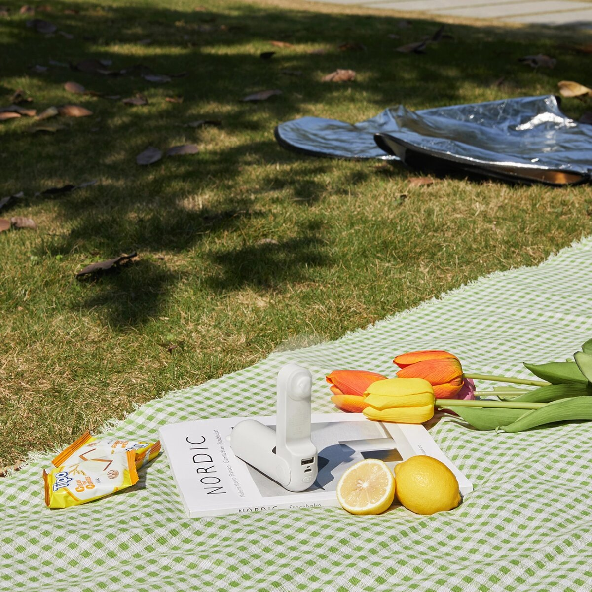 Scena da picnic: ventola, libro, limoni, tulipani, snack su una coperta a scacchi verde. Erba e foglio riflettente sullo sfondo.